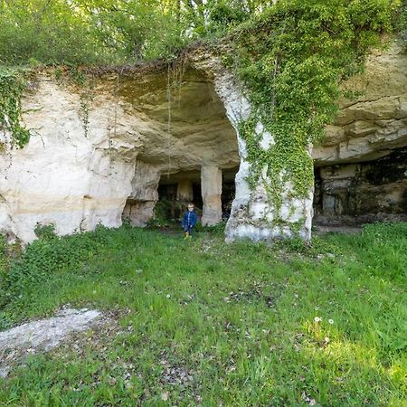 Вилла Logis De Bois Roche Saint-Bonnet-sur-Gironde Экстерьер фото