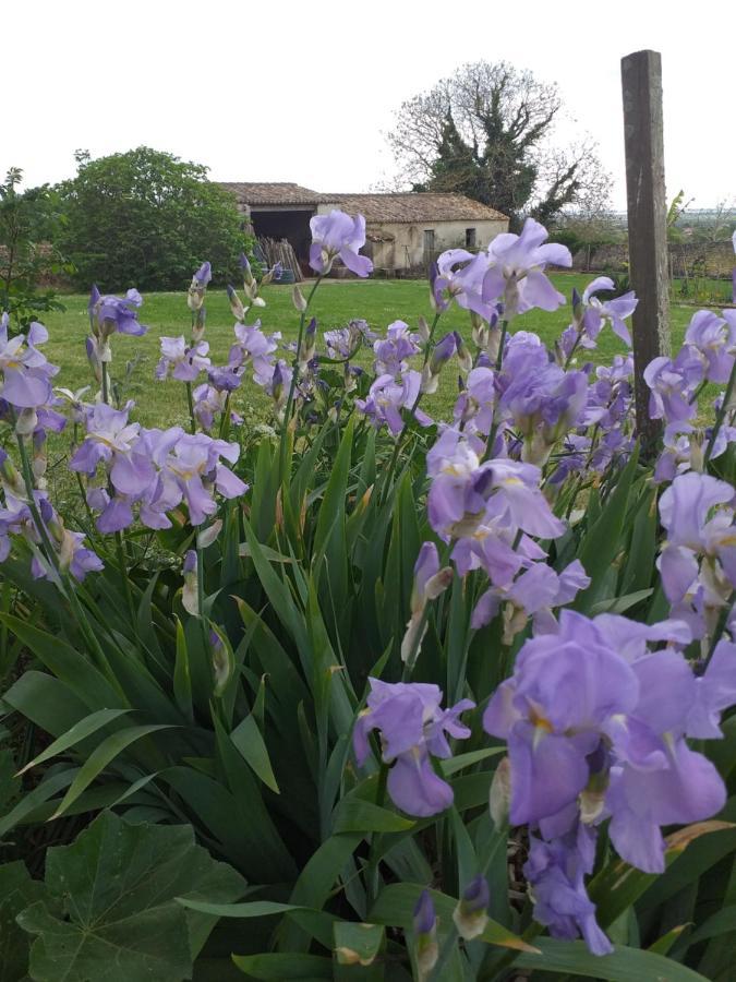 Вилла Logis De Bois Roche Saint-Bonnet-sur-Gironde Экстерьер фото