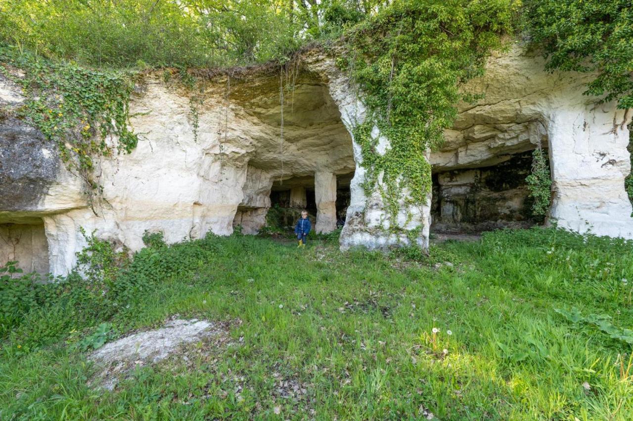 Вилла Logis De Bois Roche Saint-Bonnet-sur-Gironde Экстерьер фото